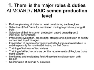 National performance and plan for AI activities and services
