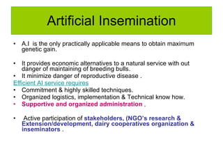 National performance and plan for AI activities and services