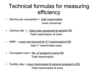 National performance and plan for AI activities and services