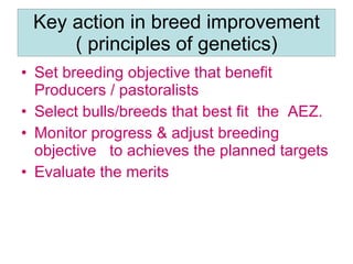 National performance and plan for AI activities and services