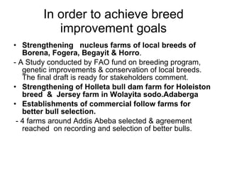 National performance and plan for AI activities and services