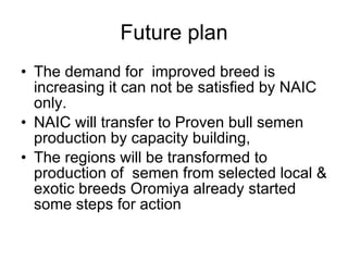 National performance and plan for AI activities and services