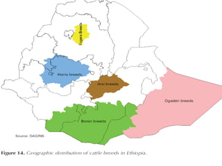 National performance and plan for AI activities and services