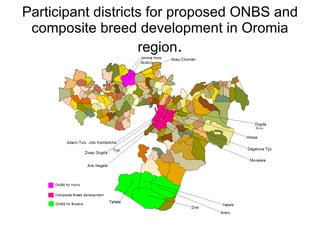 National performance and plan for AI activities and services