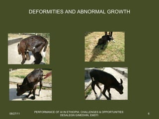 Performance of artificial insemination: Challenges and opportunities
