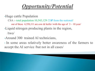 Field AI delivery system to enhance dairy and beef production in SNNPRS