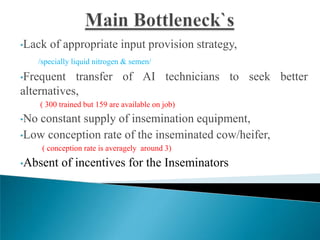 Field AI delivery system to enhance dairy and beef production in SNNPRS