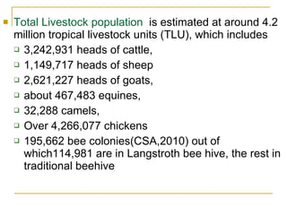 AI performance and plan in Tigray 