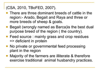 AI performance and plan in Tigray 