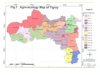 AI performance and plan in Tigray 