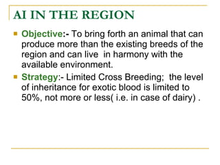 AI performance and plan in Tigray 