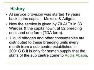 AI performance and plan in Tigray 