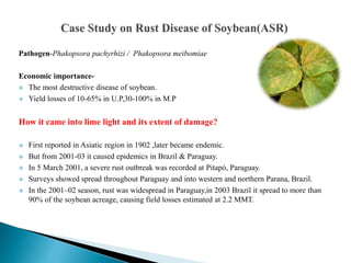 Pathogen-Phakopsora pachyrhizi / Phakopsora meibomiae
Economic importance-
 The most destructive disease of soybean.
 Yield losses of 10-65% in U.P,30-100% in M.P
How it came into lime light and its extent of damage?
 First reported in Asiatic region in 1902 ,later became endemic.
 But from 2001-03 it caused epidemics in Brazil & Paraguay.
 In 5 March 2001, a severe rust outbreak was recorded at Pitapó, Paraguay.
 Surveys showed spread throughout Paraguay and into western and northern Parana, Brazil.
 In the 2001–02 season, rust was widespread in Paraguay,in 2003 Brazil it spread to more than
90% of the soybean acreage, causing field losses estimated at 2.2 MMT.
 