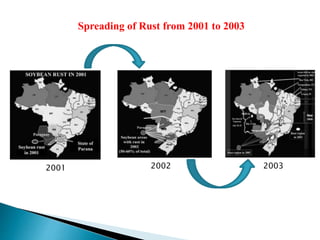 2001 2002 2003
Spreading of Rust from 2001 to 2003
 