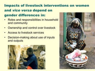 Promoting gender equality and empowering women through livestock