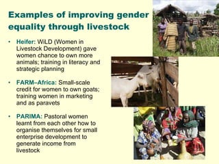 Promoting gender equality and empowering women through livestock