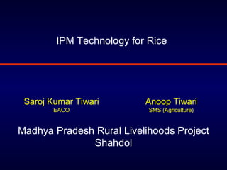 IPM Technology for Rice Madhya Pradesh Rural Livelihoods Project Shahdol Saroj Kumar Tiwari EACO Anoop Tiwari SMS (Agriculture) 