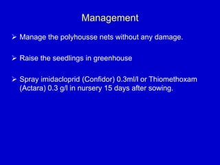 Management
 Manage the polyhousse nets without any damage.
 Raise the seedlings in greenhouse
 Spray imidacloprid (Confidor) 0.3ml/l or Thiomethoxam
(Actara) 0.3 g/l in nursery 15 days after sowing.
 