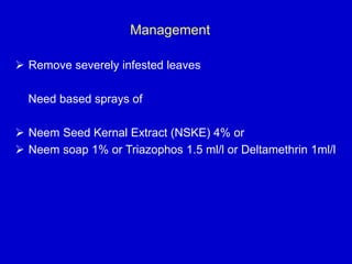 Management
 Remove severely infested leaves
Need based sprays of
 Neem Seed Kernal Extract (NSKE) 4% or
 Neem soap 1% or Triazophos 1.5 ml/l or Deltamethrin 1ml/l
 