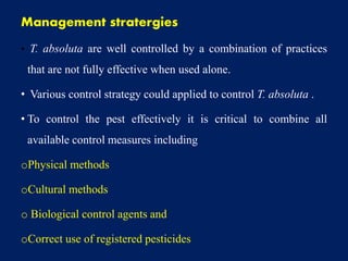 Management stratergies
• T. absoluta are well controlled by a combination of practices
that are not fully effective when used alone.
• Various control strategy could applied to control T. absoluta .
• To control the pest effectively it is critical to combine all
available control measures including
oPhysical methods
oCultural methods
o Biological control agents and
oCorrect use of registered pesticides
 