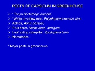 PESTS OF CAPSICUM IN GREENHOUSE
 * Thrips Scirtothrips dorsalis
 * White or yellow mite, Polyphgotersonemus latus
 Aphids, Aphis gossypi,
 Fruit borer, Helicoverpa armigera
 Leaf eating caterpiller, Spodoptera litura
 Nematodes
* Major pests in greenhouse
 