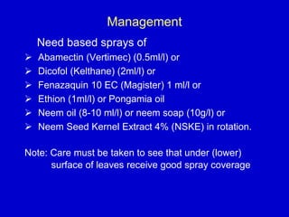 Management
Need based sprays of
 Abamectin (Vertimec) (0.5ml/l) or
 Dicofol (Kelthane) (2ml/l) or
 Fenazaquin 10 EC (Magister) 1 ml/l or
 Ethion (1ml/l) or Pongamia oil
 Neem oil (8-10 ml/l) or neem soap (10g/l) or
 Neem Seed Kernel Extract 4% (NSKE) in rotation.
Note: Care must be taken to see that under (lower)
surface of leaves receive good spray coverage
 
