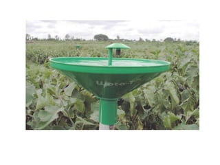 Brinjal shoot and fruit borer pheromone trap
 