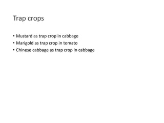 Trap crops
• Mustard as trap crop in cabbage
• Marigold as trap crop in tomato
• Chinese cabbage as trap crop in cabbage
 