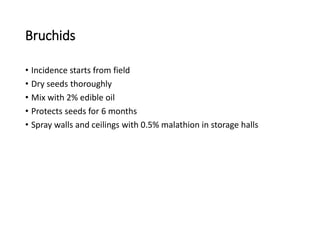 Bruchids
• Incidence starts from field
• Dry seeds thoroughly
• Mix with 2% edible oil
• Protects seeds for 6 months
• Spray walls and ceilings with 0.5% malathion in storage halls
 