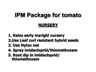IPM Package for tomato
NURSERY
1. Raise early marigld nursery
2.Use Leaf curl resistant hybrid seeds
3. Use Nylon net
4. Spray imidacloprid/thiomethoxam
5. Root dip in imidacloprid/
thiomethoxam
 