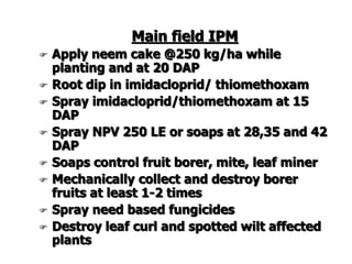 Main field IPM
 Apply neem cake @250 kg/ha while
planting and at 20 DAP
 Root dip in imidacloprid/ thiomethoxam
 Spray imidacloprid/thiomethoxam at 15
DAP
 Spray NPV 250 LE or soaps at 28,35 and 42
DAP
 Soaps control fruit borer, mite, leaf miner
 Mechanically collect and destroy borer
fruits at least 1-2 times
 Spray need based fungicides
 Destroy leaf curl and spotted wilt affected
plants
 