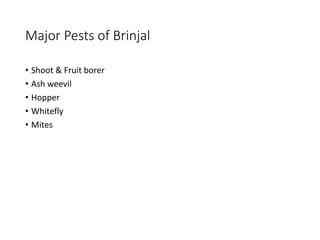 Major Pests of Brinjal
• Shoot & Fruit borer
• Ash weevil
• Hopper
• Whitefly
• Mites
 
