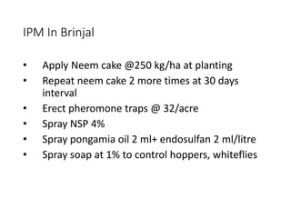 IPM In Brinjal
• Apply Neem cake @250 kg/ha at planting
• Repeat neem cake 2 more times at 30 days
interval
• Erect pheromone traps @ 32/acre
• Spray NSP 4%
• Spray pongamia oil 2 ml+ endosulfan 2 ml/litre
• Spray soap at 1% to control hoppers, whiteflies
 