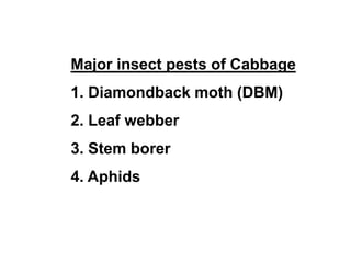 Major insect pests of Cabbage
1. Diamondback moth (DBM)
2. Leaf webber
3. Stem borer
4. Aphids
 
