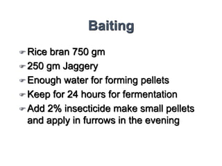 Baiting
 Rice bran 750 gm
 250 gm Jaggery
 Enough water for forming pellets
 Keep for 24 hours for fermentation
 Add 2% insecticide make small pellets
and apply in furrows in the evening
 