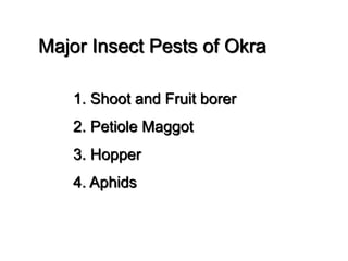 Major Insect Pests of Okra
1. Shoot and Fruit borer
2. Petiole Maggot
3. Hopper
4. Aphids
 