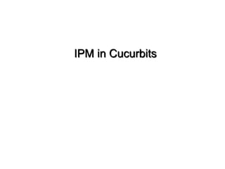 IPM in Cucurbits
 