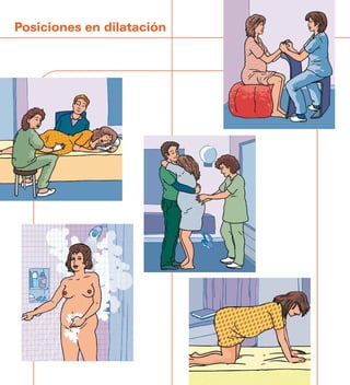 Posiciones en dilatación
 