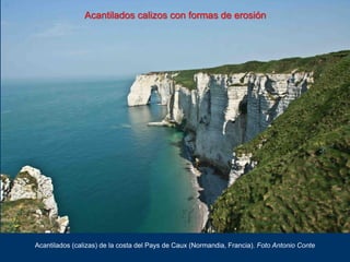 Acantilados calizos con formas de erosión
Acantilados (calizas) de la costa del Pays de Caux (Normandia, Francia). Foto An...