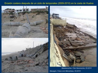 Balneario Solís, en la costa uruguaya del Río de la Plata:
retroceso de barranca por erosión. Foto Daniel Panario (UDELAR,...