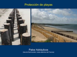 Protección de los acantilados entre Torre Bermeja y
Conil de la Frontera (provincia de Cádiz).
Fotos Loïc Ménanteau, 03-20...