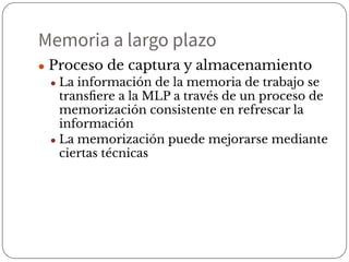 Memoria a largo plazo
● Proceso de captura y almacenamiento
● La información de la memoria de trabajo se
transﬁere a la MLP a través de un proceso de
memorización consistente en refrescar la
información
● La memorización puede mejorarse mediante
ciertas técnicas
 