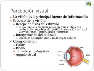 Percepción visual
● La visión es la principal fuente de información
● Proceso de la visión:
● Recepción física del estímulo
● El ojo humano contiene una lente y una retina con
conos (color: sensibles al rojo 64%, al verde 32% o al azul
2%) y bastones (formas, visión nocturna)
● Interpretación del estímulo
● Podemos distinguir unos 7 millones de colores
● Componentes:
● Color
● Brillo
● Tamaño y profundidad
● Ángulo visual
 