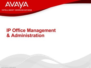 IP Office Management & Administration 