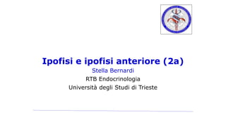 Ipofisi e ipofisi anteriore (2a)
Stella Bernardi
RTB Endocrinologia
Università degli Studi di Trieste
 