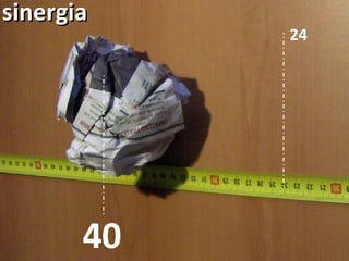 40 24 sinergia 