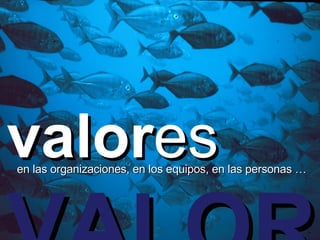 VALOR valor es en las organizaciones, en los equipos, en las personas …  