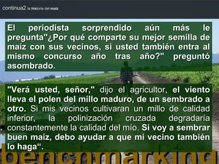 benchmarking continua2  la  his toria del  maíz El periodista sorprendido aún más le pregunta"¿Por qué comparte su mejor semilla de maíz con sus vecinos, si usted también entra al mismo concurso año tras año?" preguntó asombrado. "Verá usted, señor,"  dijo el agricultor,  el viento lleva el polen del millo maduro, de un sembrado a otro.  Si mis vecinos cultivaran un millo de calidad inferior, la polinización cruzada degradaría constantemente la calidad del mío.  Si voy a sembrar buen maiz, debo ayudar a que mi vecino también lo haga“. 