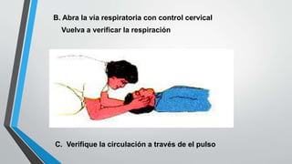 B. Abra la vía respiratoria con control cervical
Vuelva a verificar la respiración
C. Verifique la circulación a través de el pulso
 