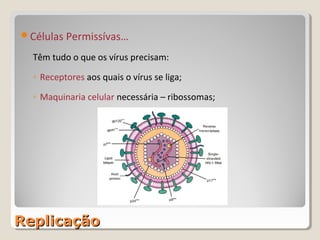 Células Permissívas…

  Têm tudo o que os vírus precisam:

  ◦ Receptores aos quais o vírus se liga;

  ◦ Maquinaria celular necessária – ribossomas;




Replicação
 